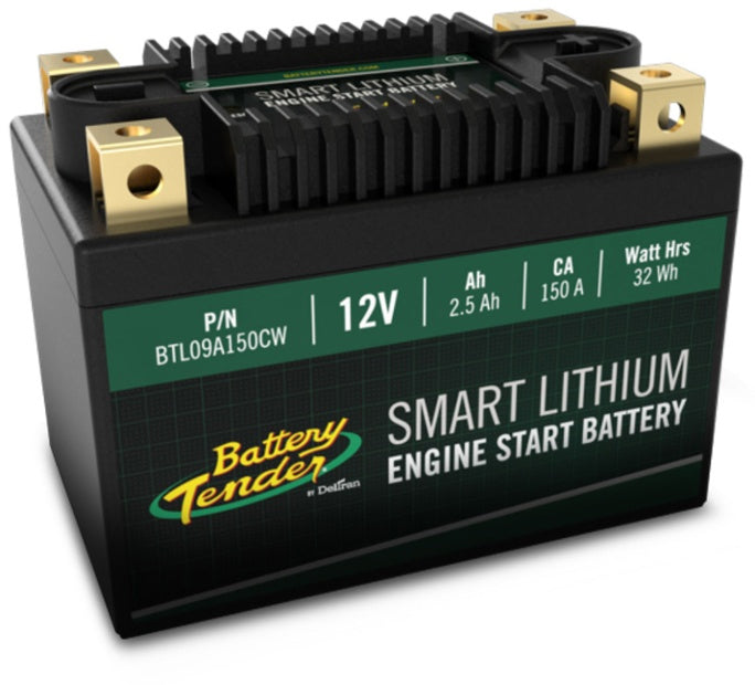 DELTRAN, Deltran Lithium Smart Batteries with BMS